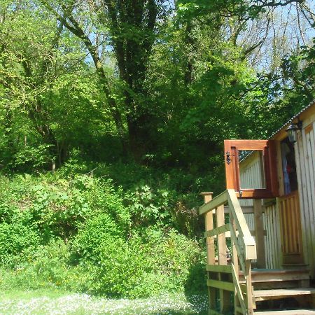 'Morris' The Shepherd'S Hut With Woodland Hot Tub 카마던 외부 사진