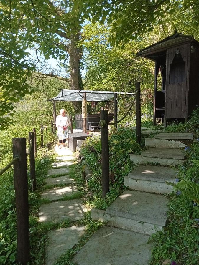 'Morris' The Shepherd'S Hut With Woodland Hot Tub 카마던 외부 사진