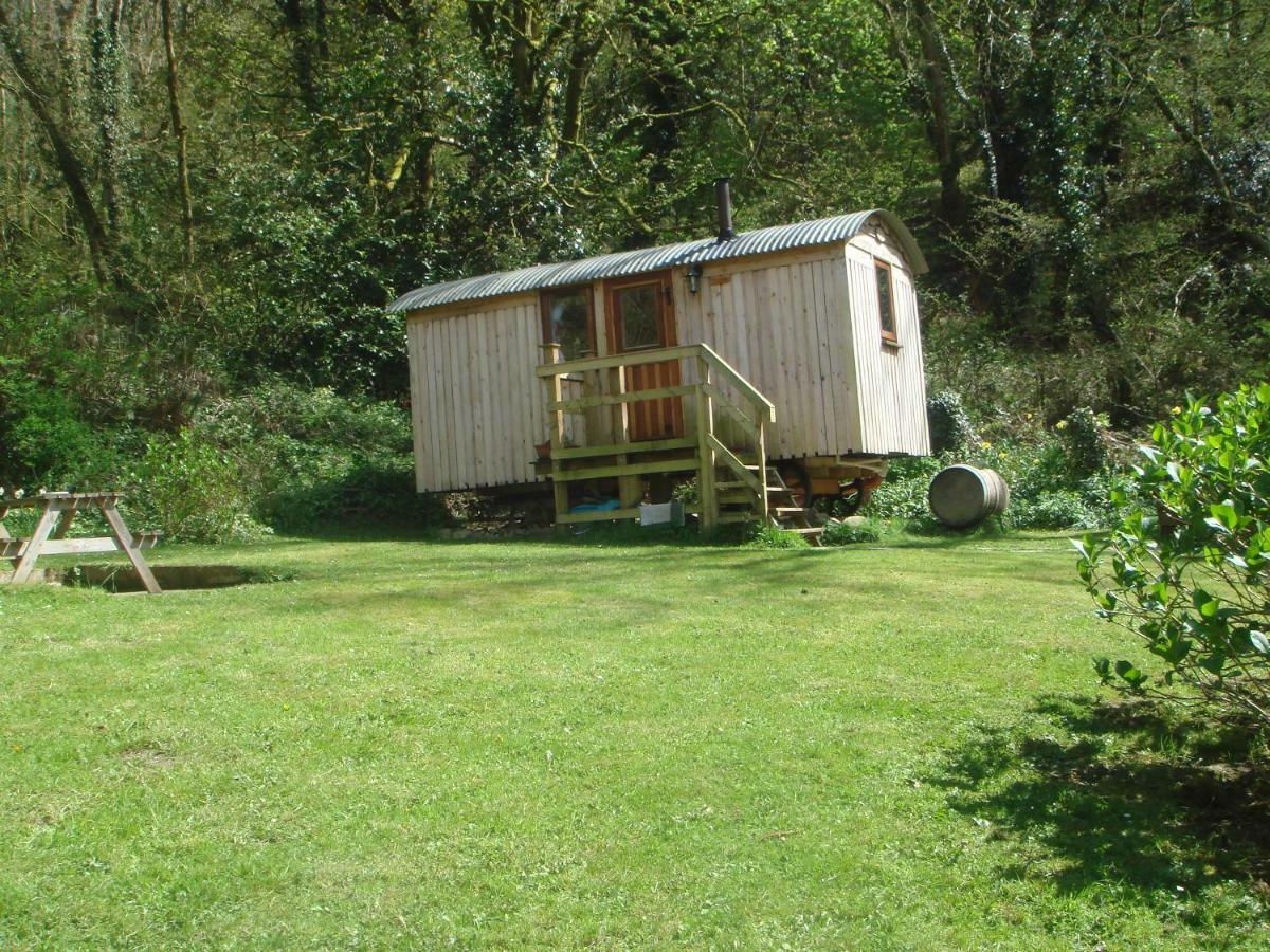 'Morris' The Shepherd'S Hut With Woodland Hot Tub 카마던 외부 사진