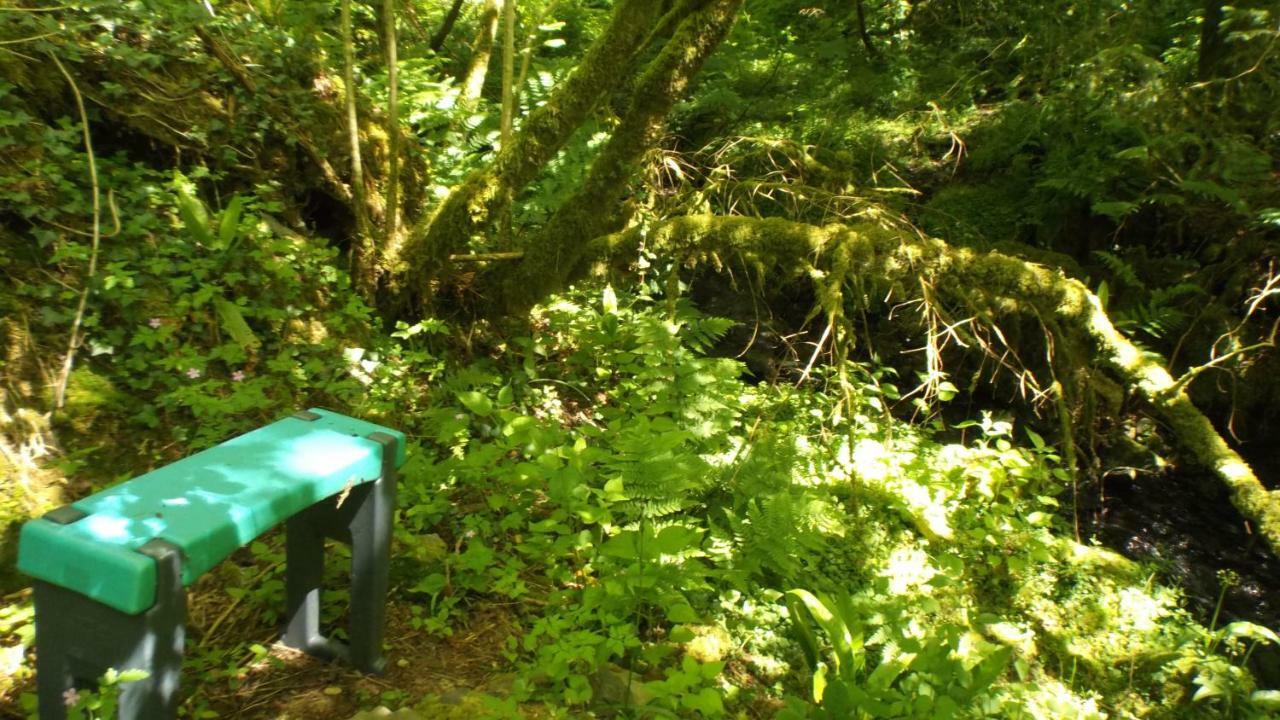 'Morris' The Shepherd'S Hut With Woodland Hot Tub 카마던 외부 사진