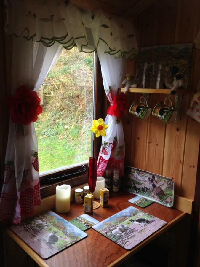 'Morris' The Shepherd'S Hut With Woodland Hot Tub 카마던 외부 사진