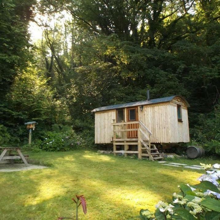 'Morris' The Shepherd'S Hut With Woodland Hot Tub 카마던 외부 사진