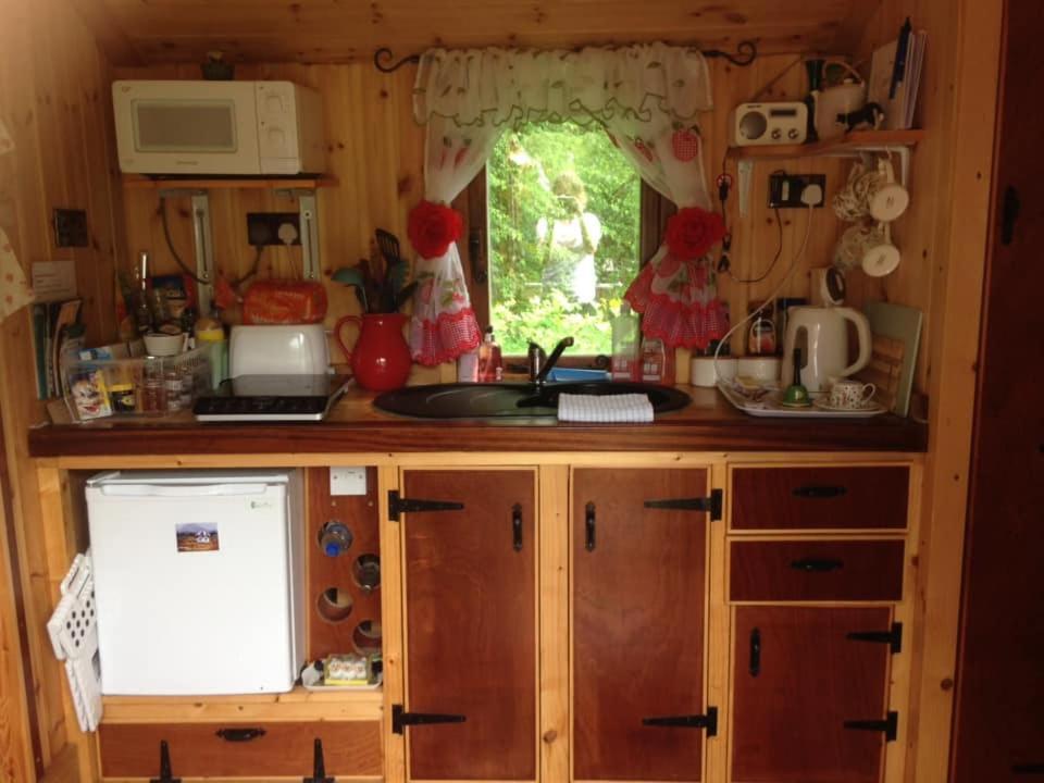 'Morris' The Shepherd'S Hut With Woodland Hot Tub 카마던 외부 사진