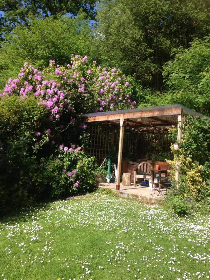 'Morris' The Shepherd'S Hut With Woodland Hot Tub 카마던 외부 사진