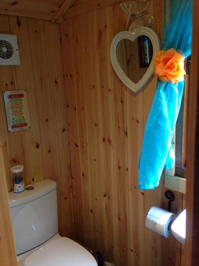 'Morris' The Shepherd'S Hut With Woodland Hot Tub 카마던 외부 사진