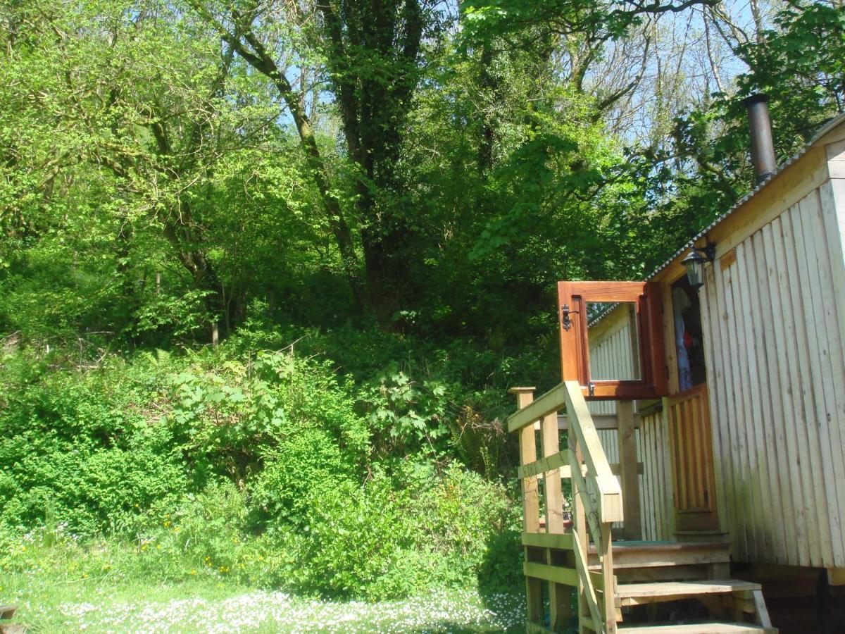 'Morris' The Shepherd'S Hut With Woodland Hot Tub 카마던 외부 사진